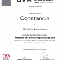 Ampliar imagen: certificate 4