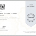 Ampliar imagen: certificate 11