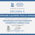 Ampliar imagen: certificate 3