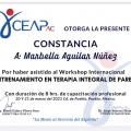 Ampliar imagen: certificate 3