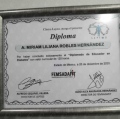 Ampliar imagen: certificate 6