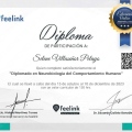 Ampliar imagen: certificate 6