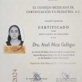 Ampliar imagen: certificate 5