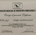 Ampliar imagen: certificate 2