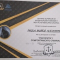 Ampliar imagen: certificate 5