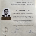 Ampliar imagen: certificate 17