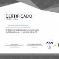 Ampliar imagen: certificate 22