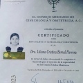 Ampliar imagen: certificate 1