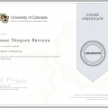 Ampliar imagen: certificate 9