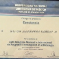 Ampliar imagen: certificate 7