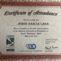 Ampliar imagen: certificate 4