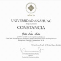 Ampliar imagen: certificate 9