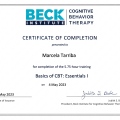 Ampliar imagen: certificate 3