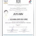Ampliar imagen: certificate 3