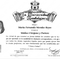 Ampliar imagen: certificate 3