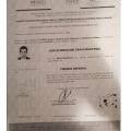 Ampliar imagen: certificate 6