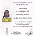 Ampliar imagen: certificate 3