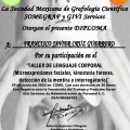 Ampliar imagen: certificate 41