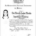 Ampliar imagen: certificate 3