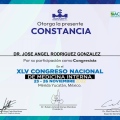 Ampliar imagen: certificate 3