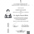 Ampliar imagen: certificate 3