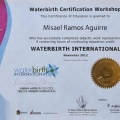 Ampliar imagen: certificate 5