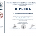 Ampliar imagen: certificate 4