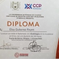 Ampliar imagen: certificate 10