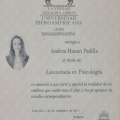 Ampliar imagen: certificate 2