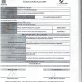 Ampliar imagen: certificate 3