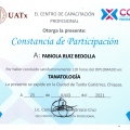 Ampliar imagen: certificate 5