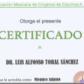 Ampliar imagen: certificate 3