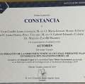 Ampliar imagen: certificate 10