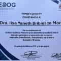 Ampliar imagen: certificate 3