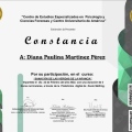 Ampliar imagen: certificate 7