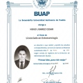 Ampliar imagen: certificate 5