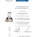 Ampliar imagen: certificate 4