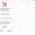 Ampliar imagen: certificate 10