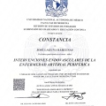 Ampliar imagen: certificate 4