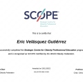 Ampliar imagen: certificate 6