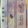 Ampliar imagen: certificate 5