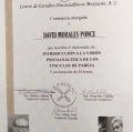 Ampliar imagen: certificate 3