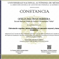 Ampliar imagen: certificate 12