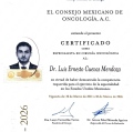 Ampliar imagen: certificate 2