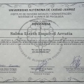 Ampliar imagen: certificate 4