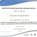 Ampliar imagen: certificate 2