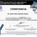 Ampliar imagen: certificate 3