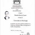 Ampliar imagen: certificate 5