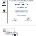 Ampliar imagen: certificate 6