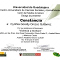 Ampliar imagen: certificate 8